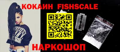 крисы Гай