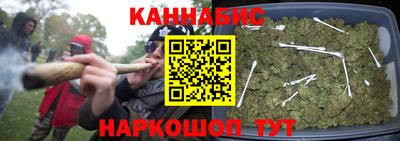 крисы Гай