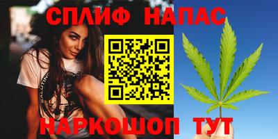 крисы Гай