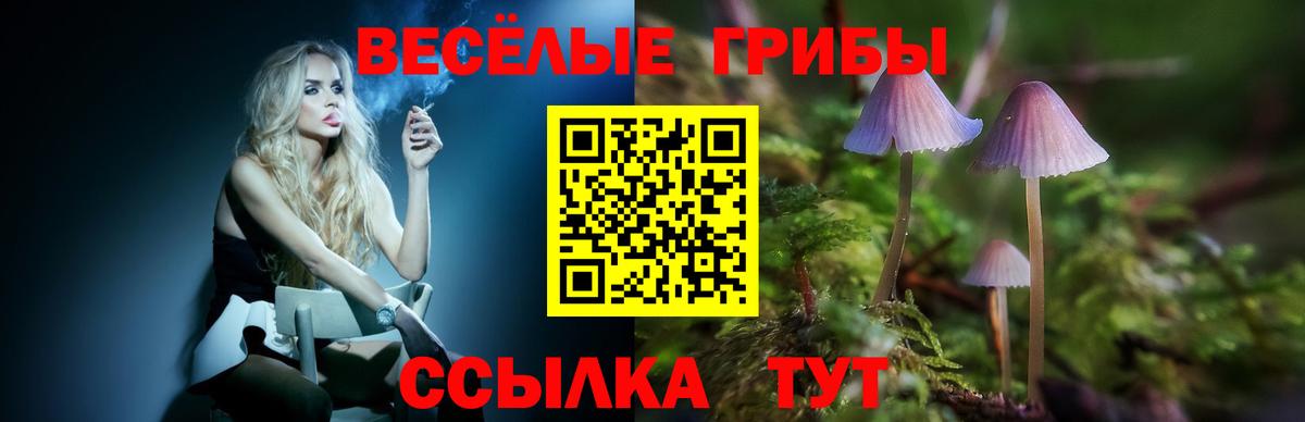 Псилоцибиновые грибы Cubensis Каспийск